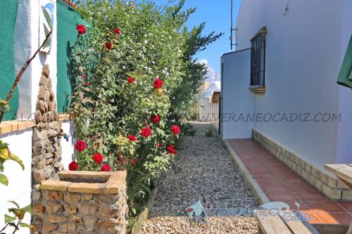conil_192_-_alquiler__vacacional_chalet_4